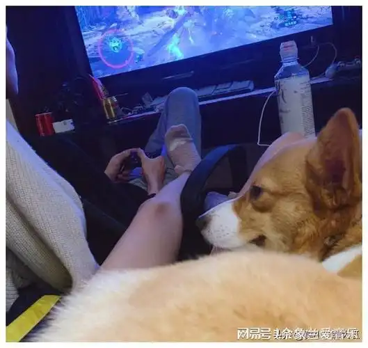 有请第3位受害者!辛雨锡再添新爆料,称秦霄贤对不起父母们