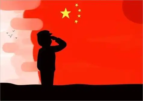 军人向国旗敬礼背影简笔画视频