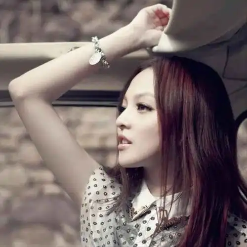 除了公主小妹张韶涵有什么作品