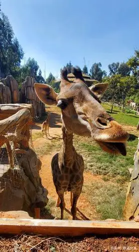 云南野生动物园之旅