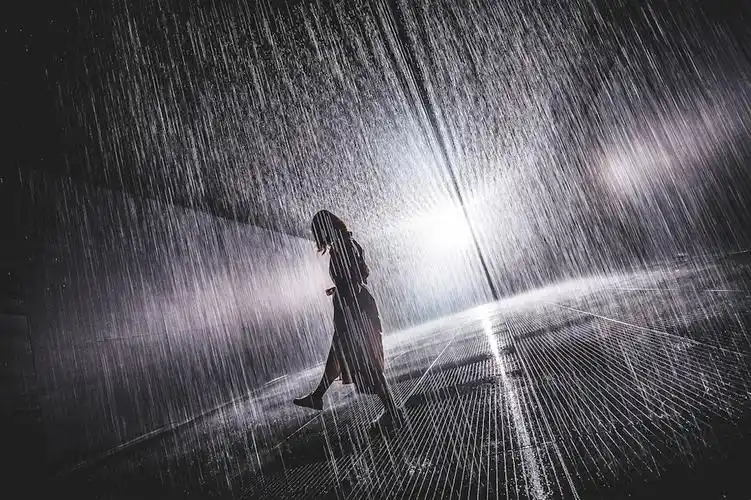 被雨淋湿命运的人(外二首) 文/孙映