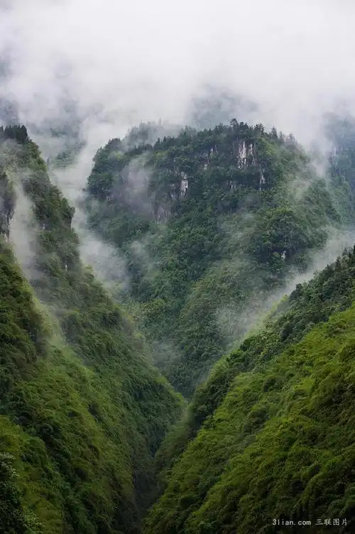 大山的自然之美图片