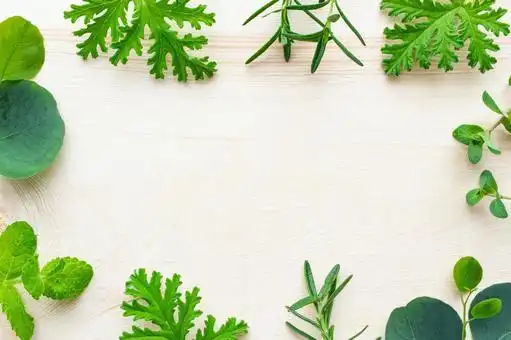 共找到80519张关於草本材料背景的免费图片.