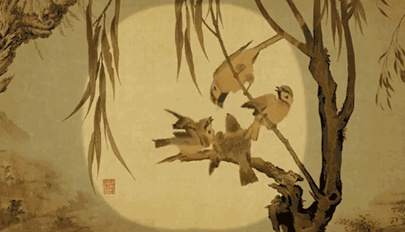 600_344gif 动态图 动图