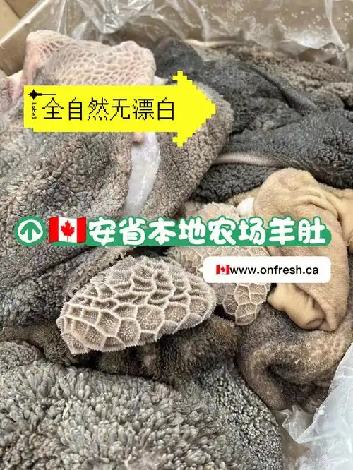 安省羔羊羊肚全自然无漂白