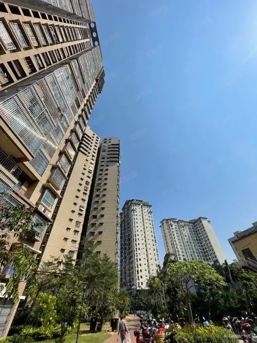 滨江新苑有性价比的三房英才学堂装修品质很不错业主急售