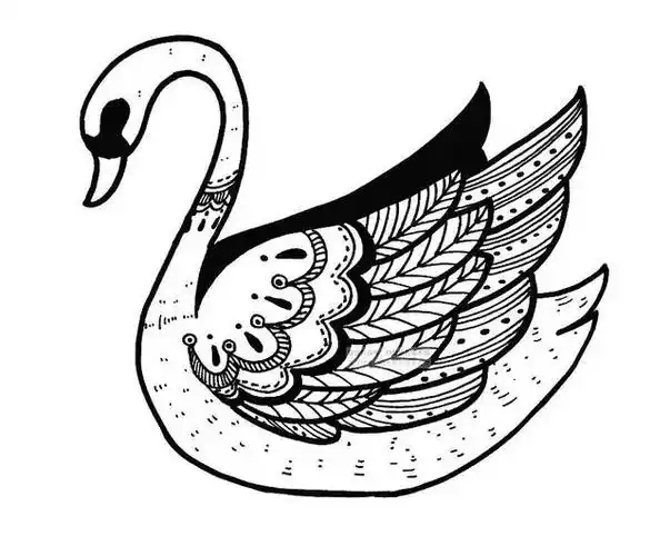 儿童画教程|创意线条课程推荐——月光下的白天鹅