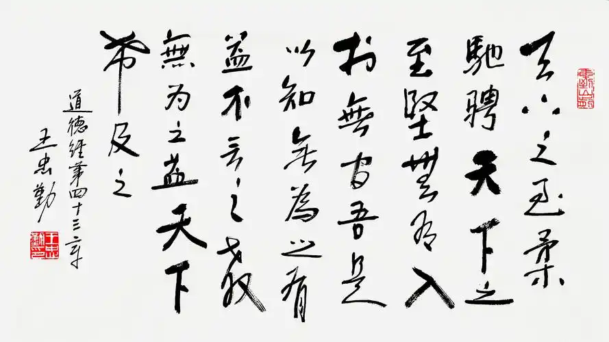 王忠勤书法:《道德经》全文