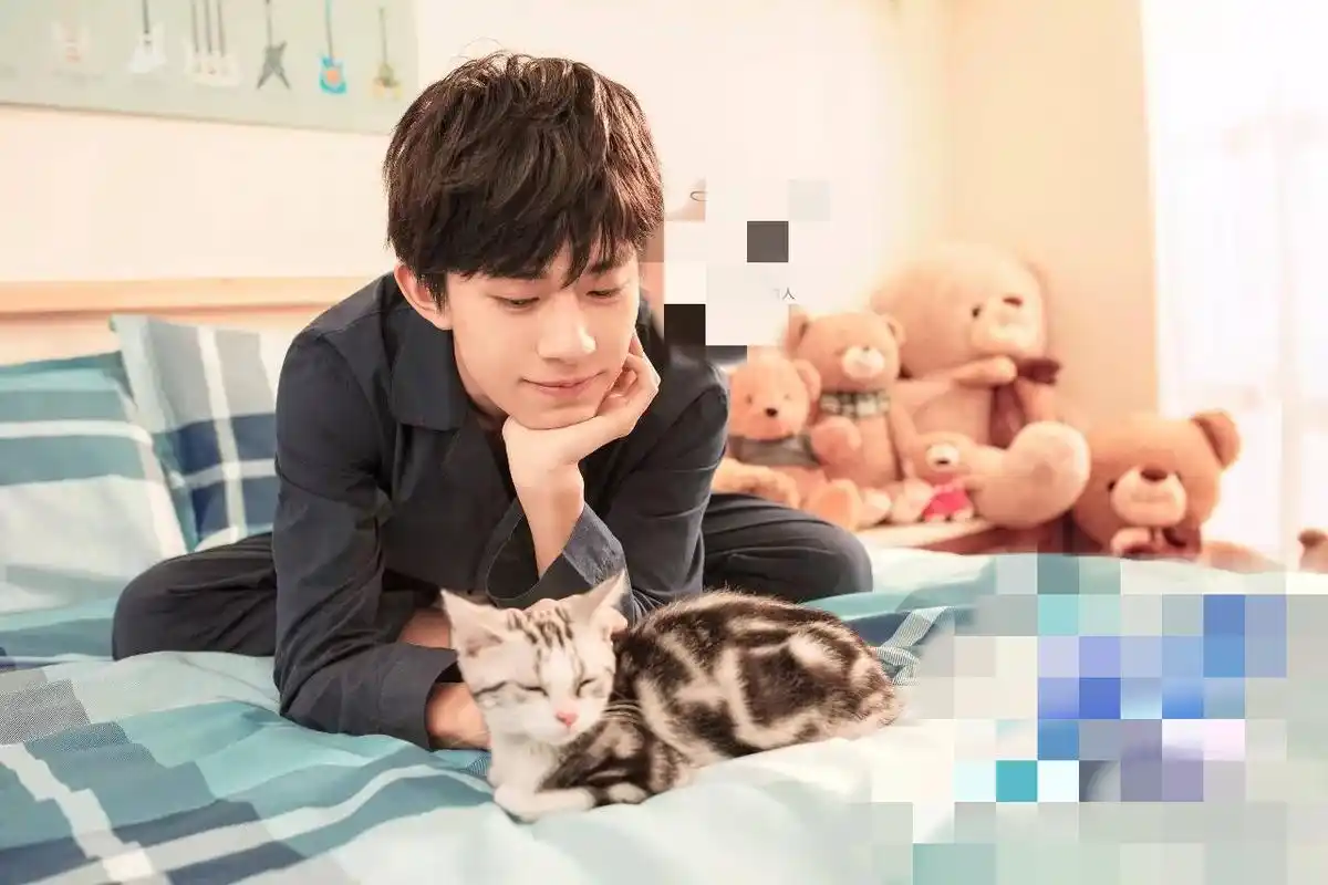 易烊千玺素颜携猫出境:千玺对猫满脸的宠溺充满男友力,太撩人!