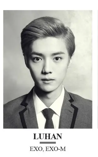 堆糖,美好生活研究所