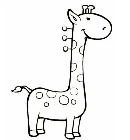 13岁动物简笔画步骤