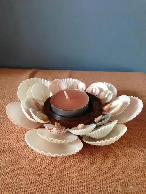 海边捡回家的贝壳粘起来一不小心成了艺术家