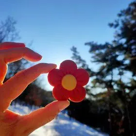 送你一朵小红花——饼干的全部作品