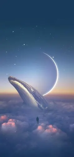 惊艳了世俗的温柔闪烁星光的句子