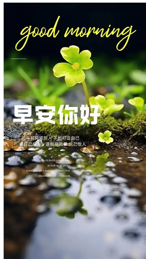 最近火出圈的励志激励短句