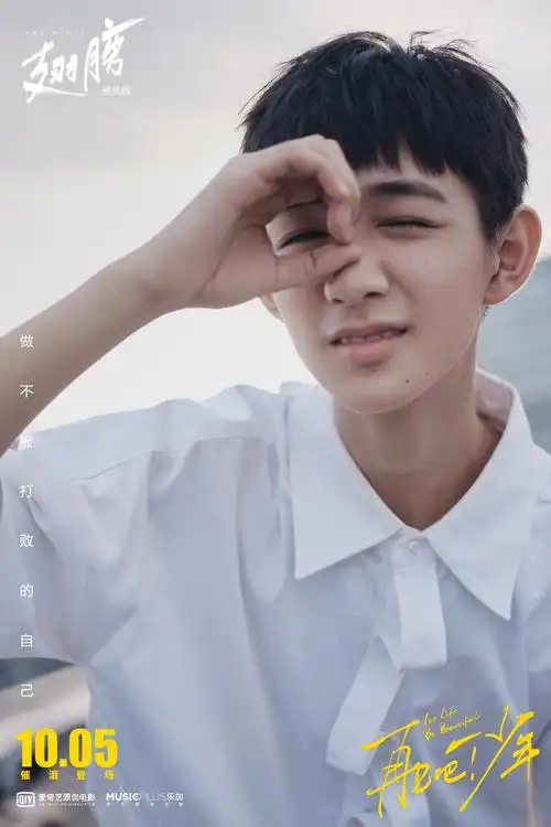 《再见少年下载》迅雷bt完整下载国语版[1280p资源