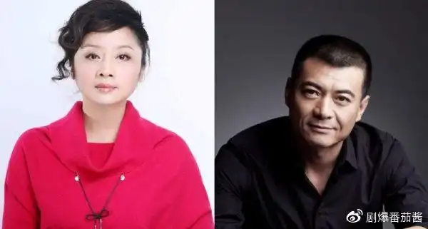 演员王新军老婆曾是唐静,唐静曾出演过不少经典作品,如:美人心计,和