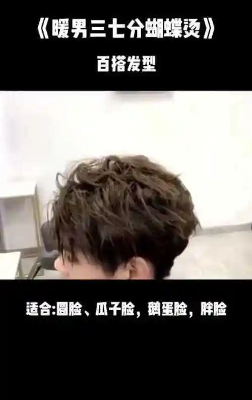 暖男三七分蝴蝶烫