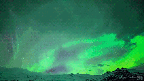 500_281gif 动态图 动图