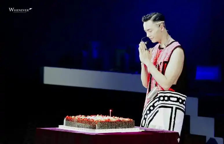 陈伟霆20151121生日会