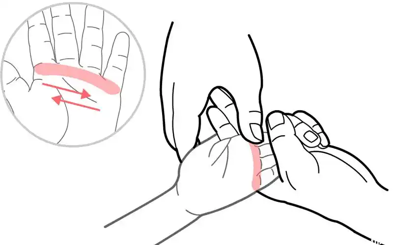 推拿四横纹示意图