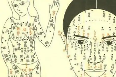 胳膊上有痣看相图解