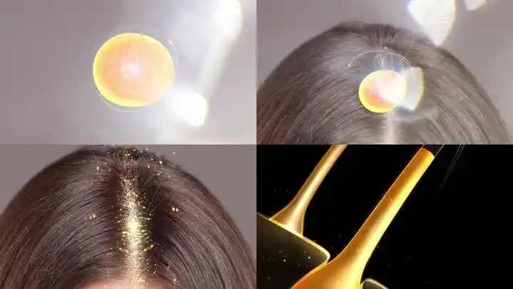 头发 毛囊 长头发修复 生发 医疗 医药机理 发根   细胞   护发洗发水