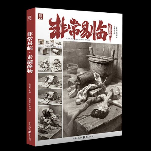 非常易临素描静物 2022敲门砖李家友王贤南苏国杨素描静物入门教学