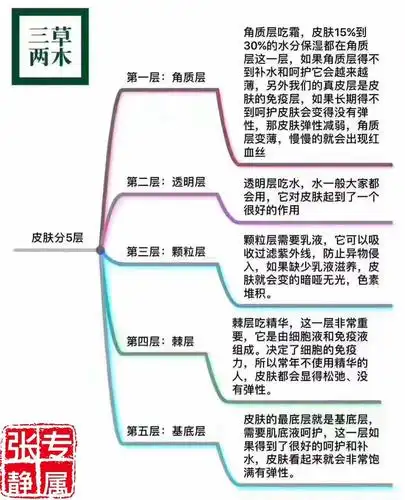 这就是为什么护肤品要用五层的原因!你都有在用吗?