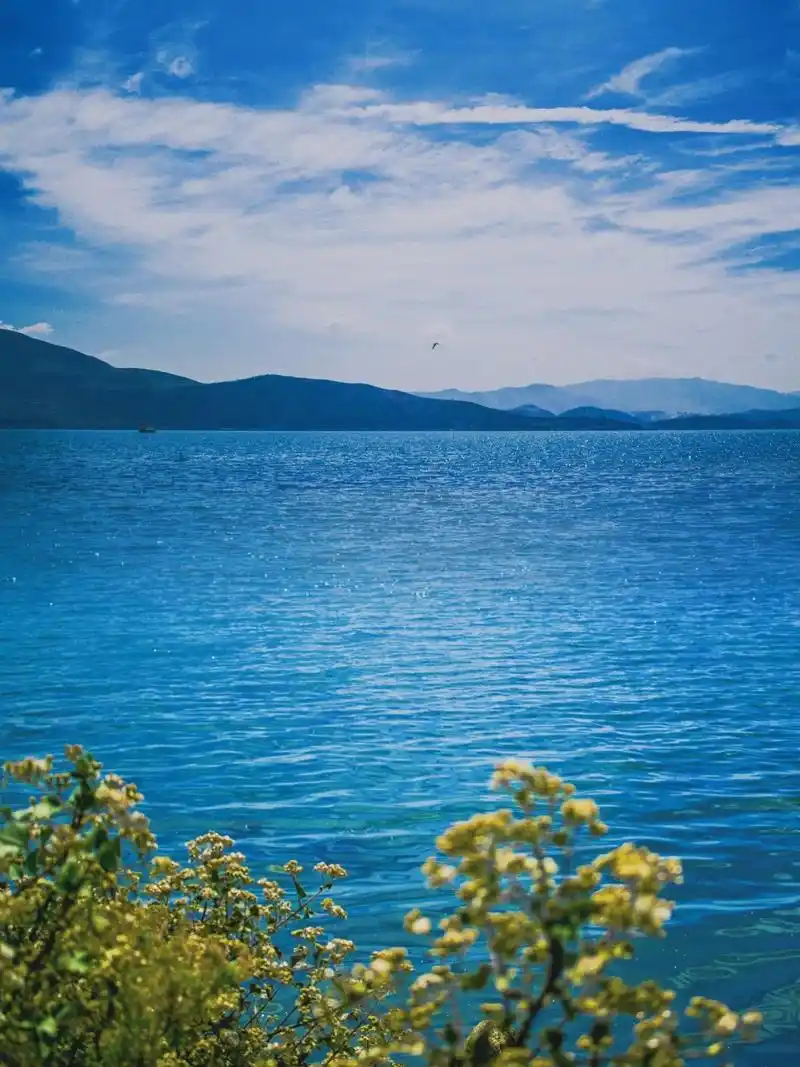 大理洱海风景图