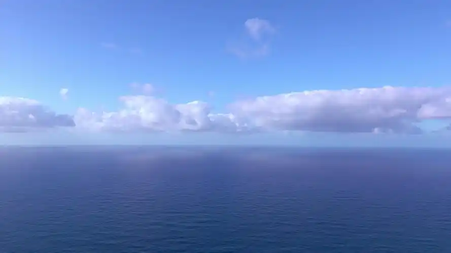 30手拿火柴免费自然1080p00:15唯美小清新荷花免费