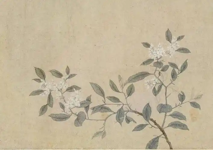 春日里的花花世界