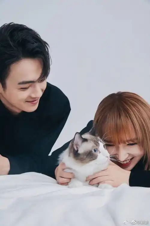 许凯程潇昨晚合体直播,虽然两个人憨憨的,但是不妨碍男帅女美