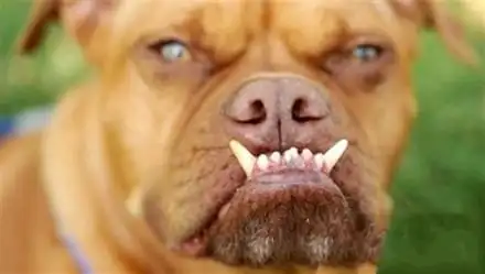 【男女】搞笑漫画之漫画图片,教科书上的经典涂鸦漫画