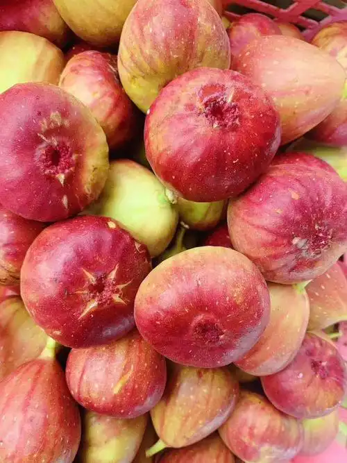 波姬红无花果 60-70克