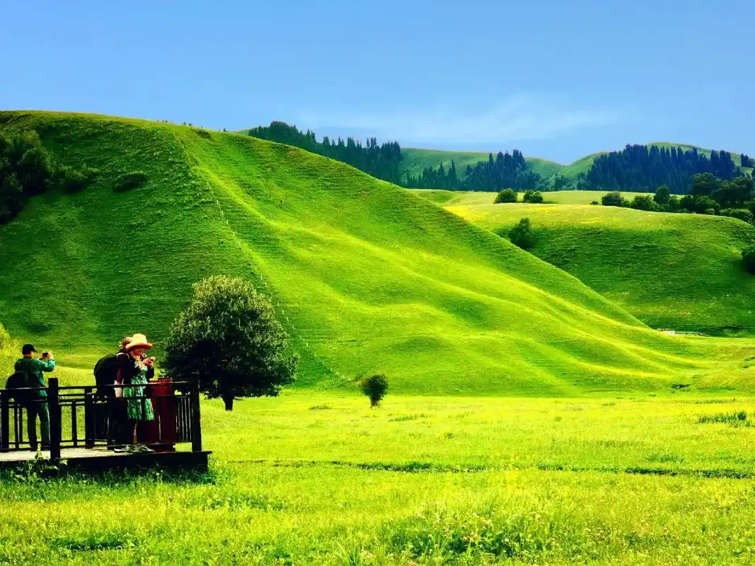 到了新疆伊犁,才知道为什么美丽的姑娘要嫁到那拉提 - 抖音