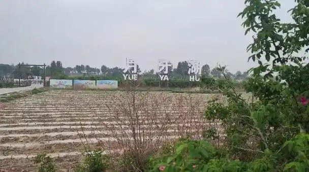 梦中的月牙湖(原创歌词)