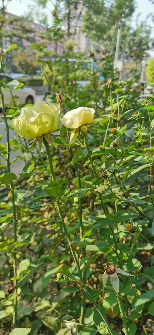 秋天风景自然美!