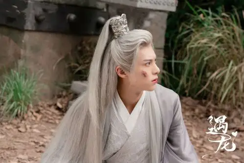 遇龙单纯看剧情不错可惜整体质感太差劝退太多观众