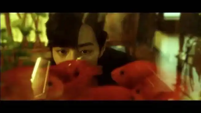 肖战的那年今日##肖战微博存档##肖战