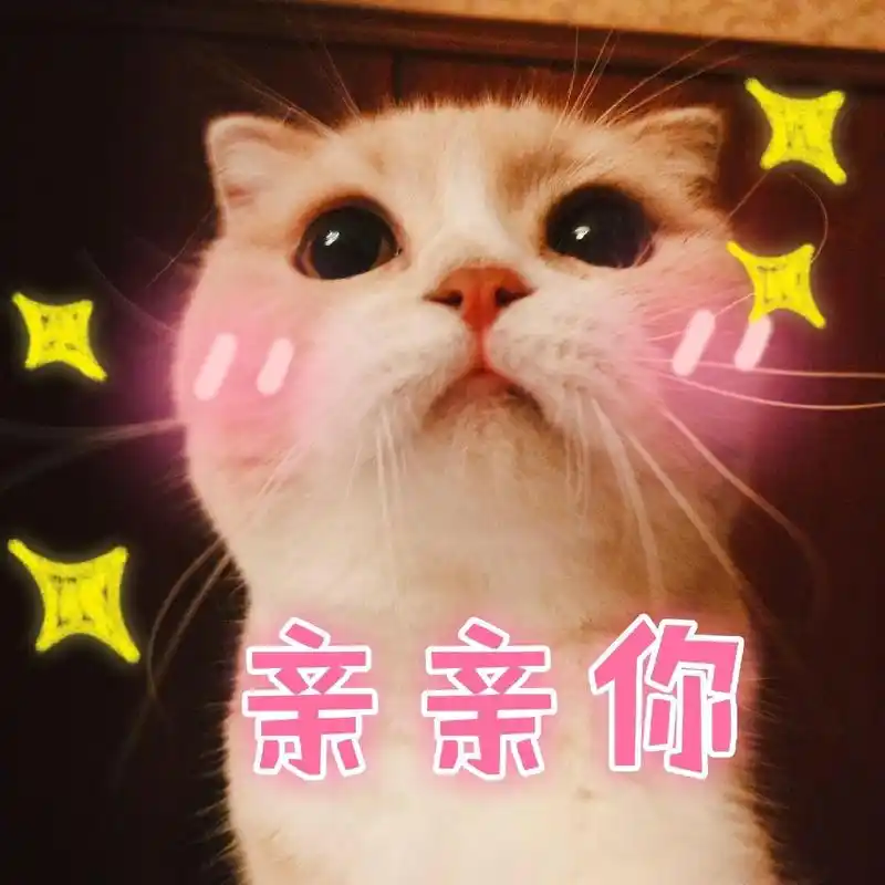 亲亲你一只可爱猫咪表情包