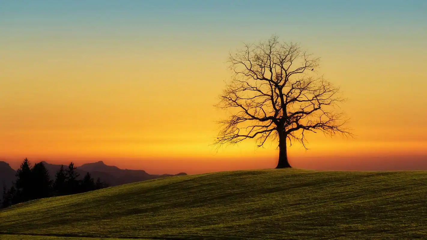 清新唯美自然风景桌面壁纸