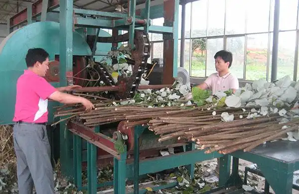 中国农业科学院麻类研究所