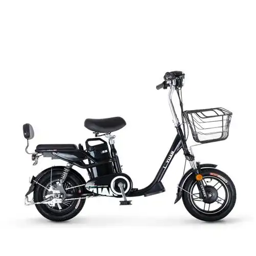 绿源新国标电动车小型成人48v锂电池电瓶车jcy男女代步电动自行车