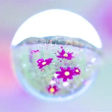 创意风景头像唯美图片花朵在水滴中太美丽了