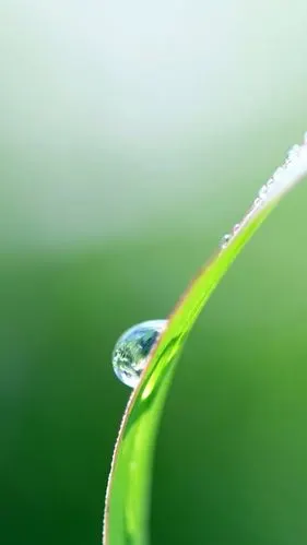 1600_2844竖版 竖屏