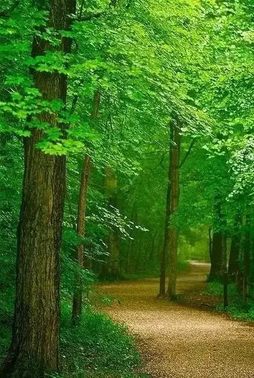 人,要有一颗干净的心(深度好文)