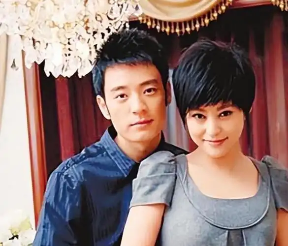 回顾郝蕾与刘烨离婚后自己一人养育双胞胎儿子如今怎么样了