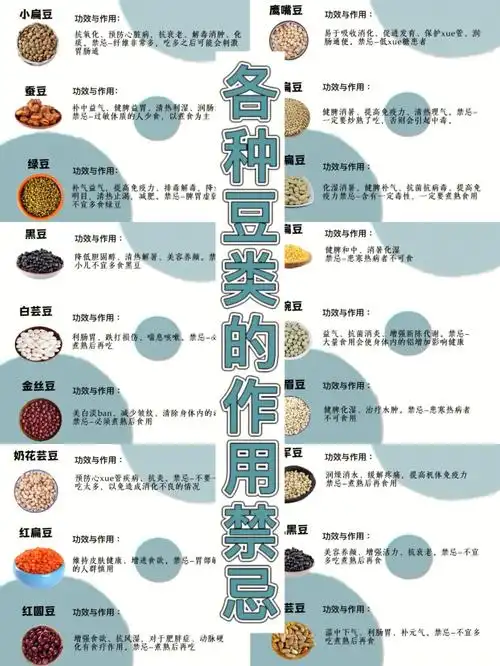 各种豆类的功效与禁忌营养虽好却不能多吃