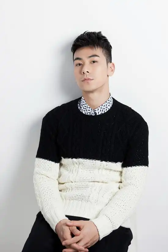 戴向宇的12年新加坡走红后回国难发展娶大9岁陈紫函才出名